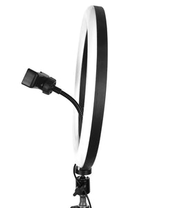 Led Ring Light With Phone Holder 33-36cm